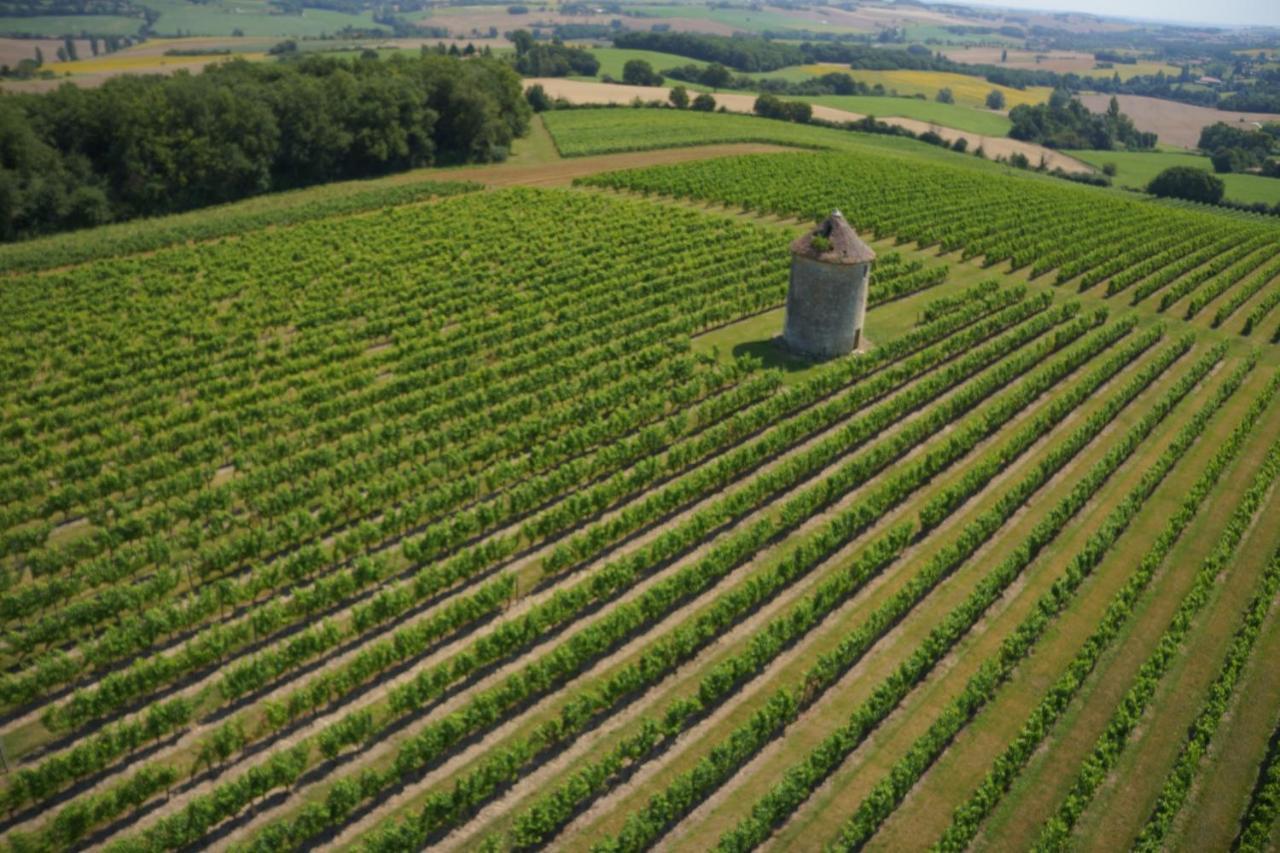 Chateau De Mons Armagnac Caussens Exteriör bild